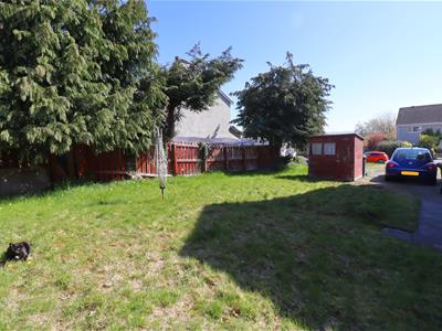 Picture 19